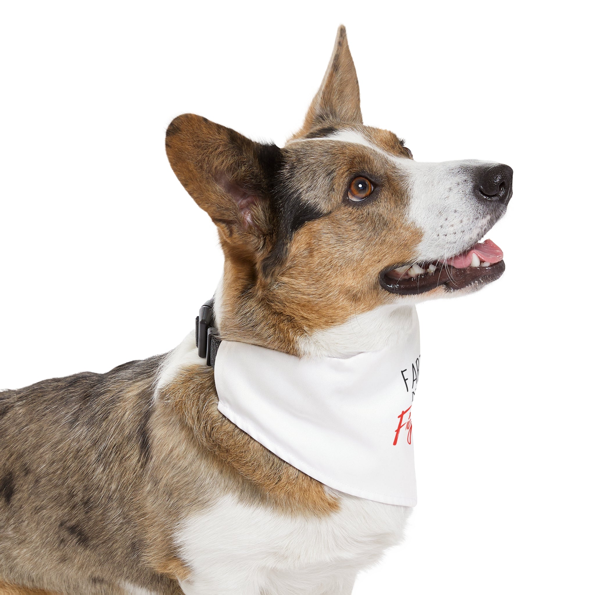 Cute Farter Not A Fighter Pet Bandana Collar