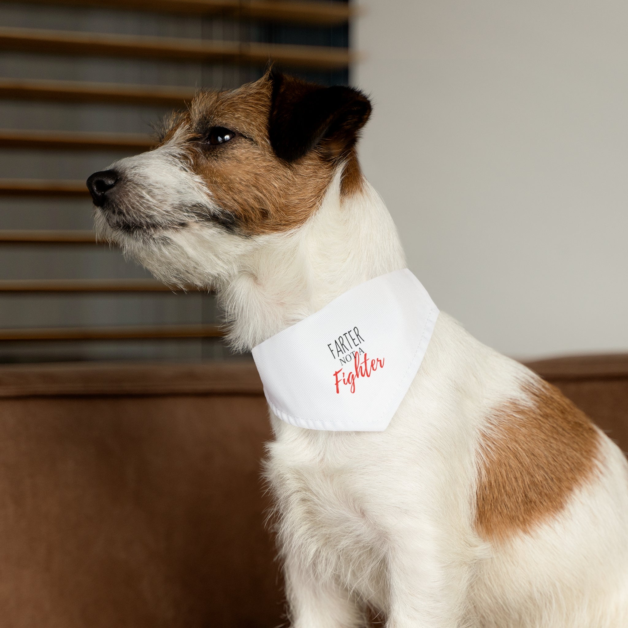 Cute Farter Not A Fighter Pet Bandana Collar