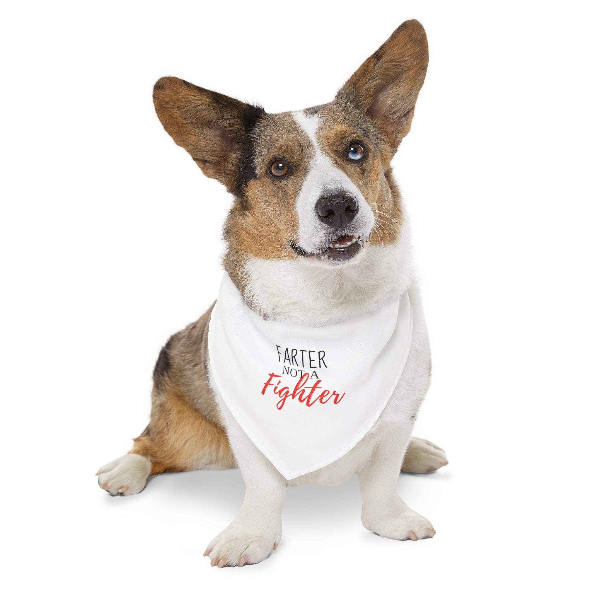 Cute Farter Not A Fighter Pet Bandana Collar