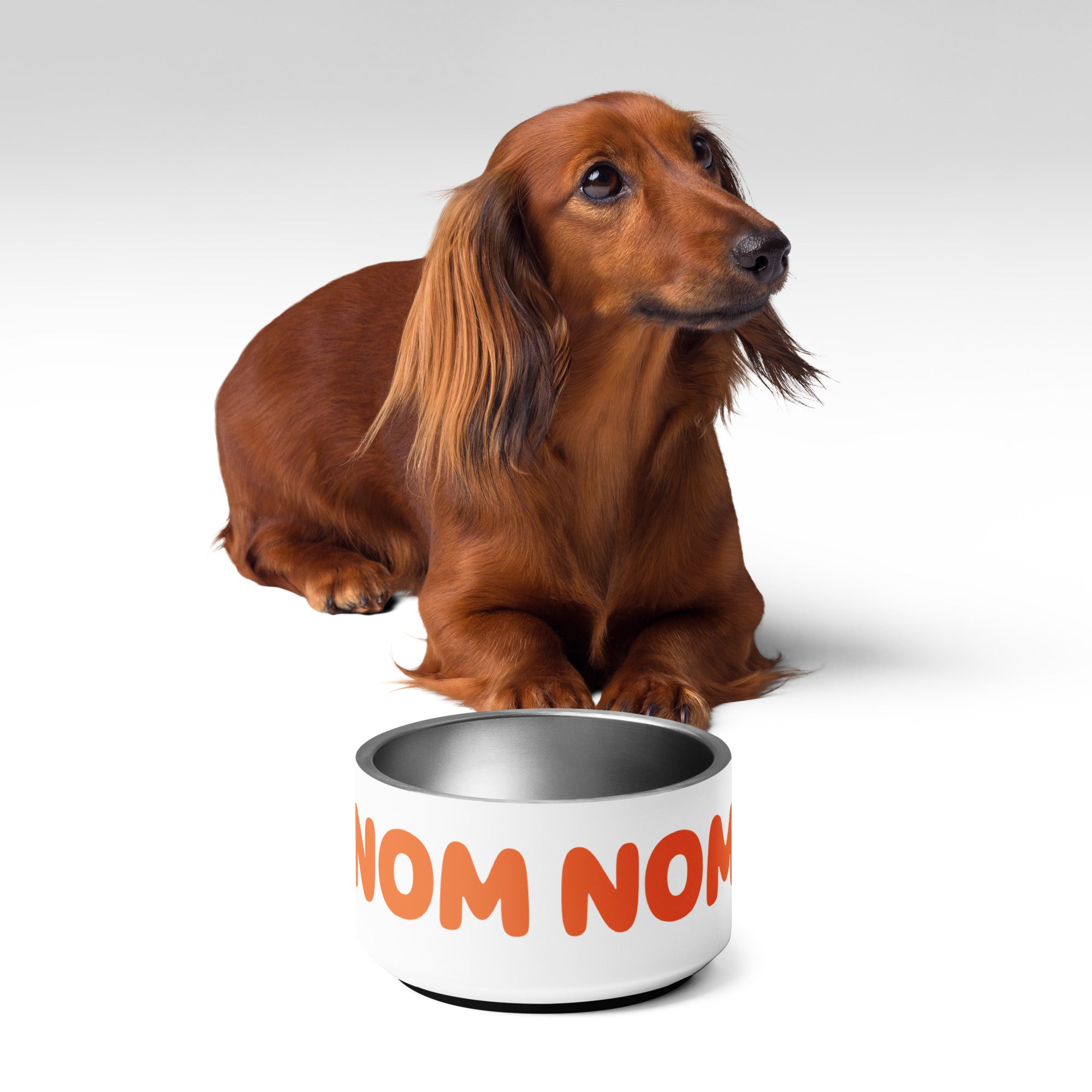 Super Cute Nom Nom Stainless Steel Pet bowl