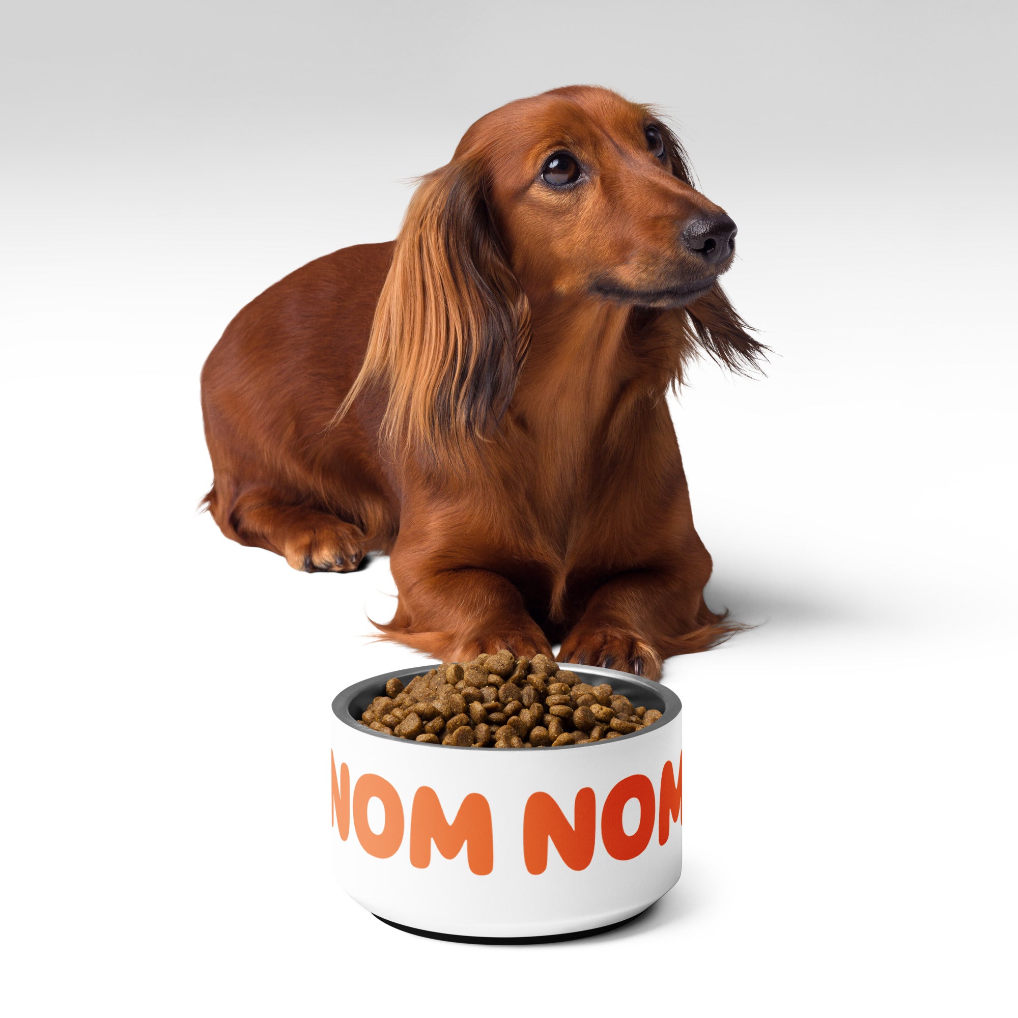 Super Cute Nom Nom Stainless Steel Pet bowl